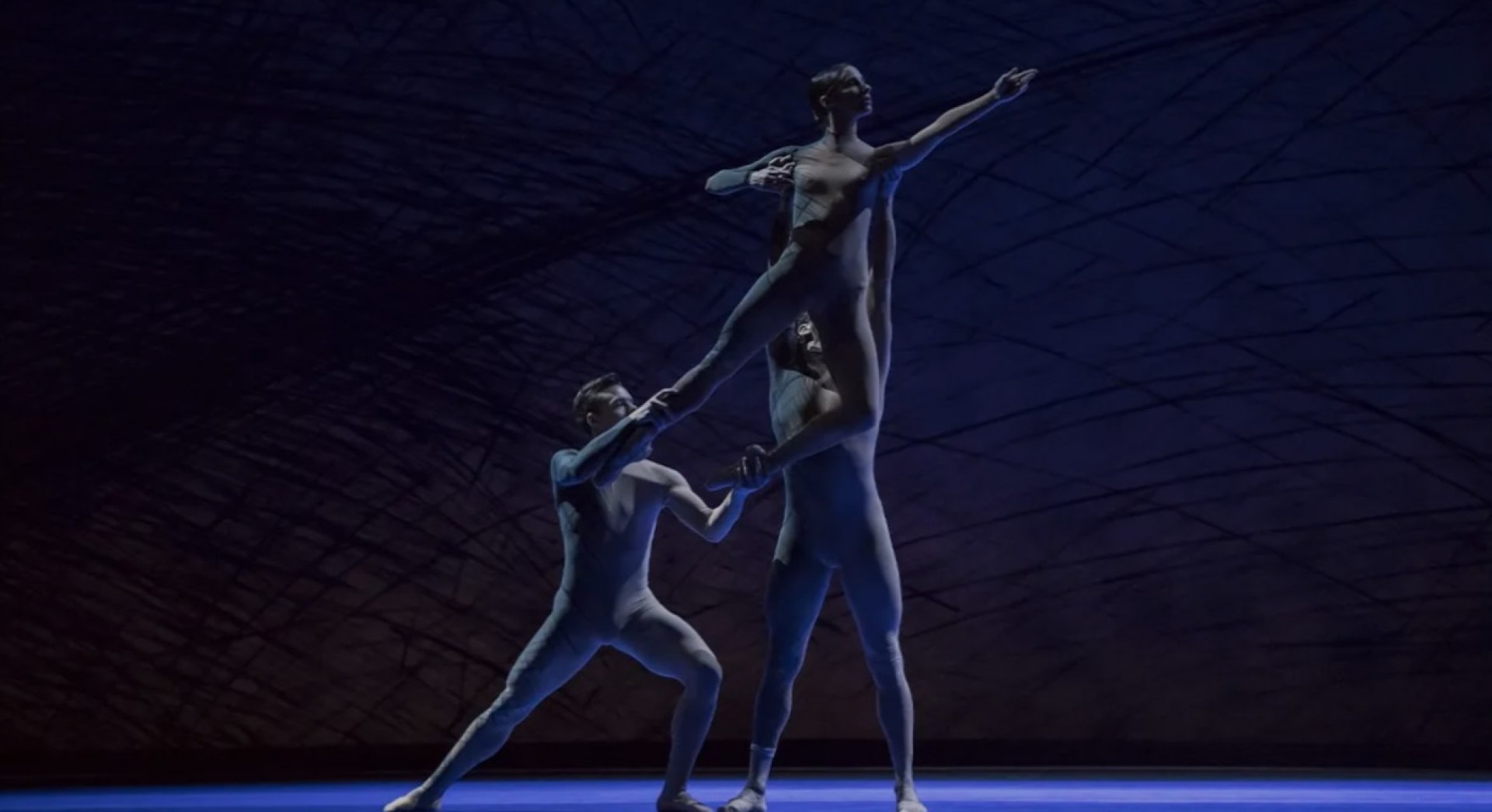 McGregor, Maillot, Naharin